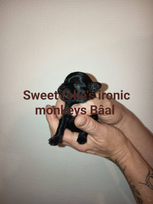 Bäal